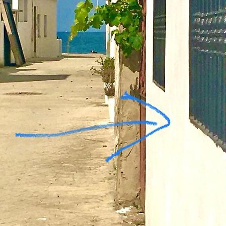 Blue Holiday واد لاو المظهر الخارجي الصورة